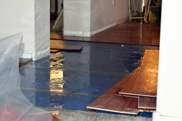 Professional Flood Cleanup technician working in Linden, TX